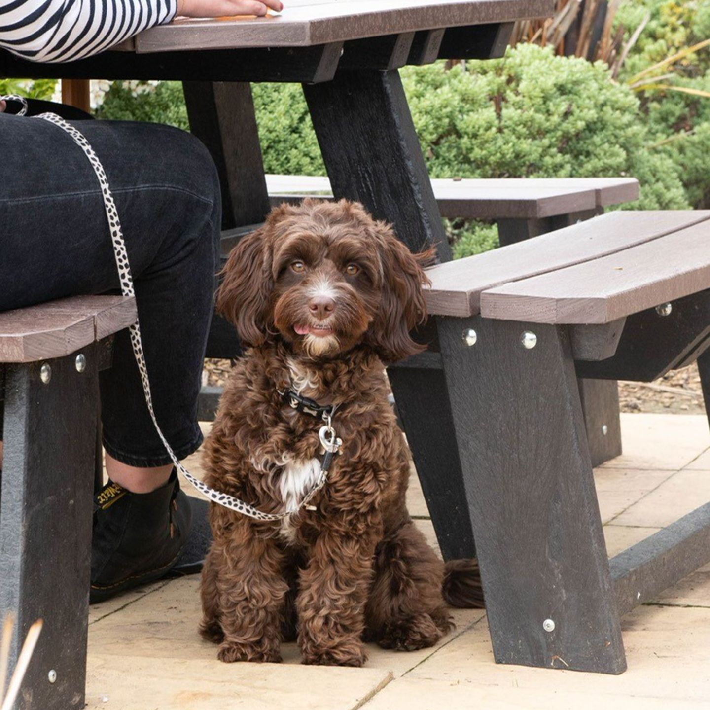 Your local dog friendly pub in Blackburn